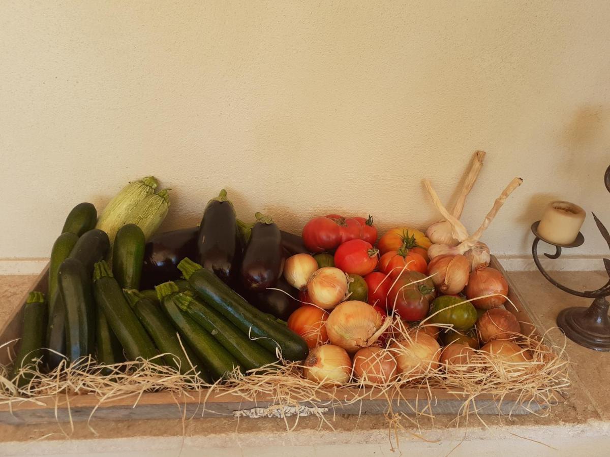 Location Vacances Gillardin Maussane-les-Alpilles Esterno foto